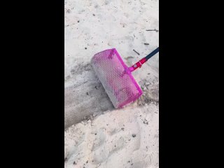 you can find a fortune in sand.