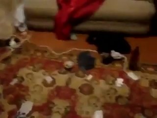 registration was a success, russian private amateur fucked