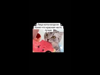 vk girls | anonymous dating chat